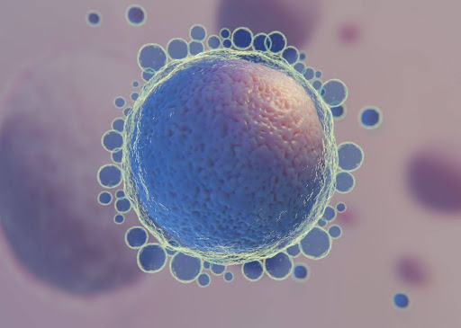 Early Signs of Embryo Implantation After IVF