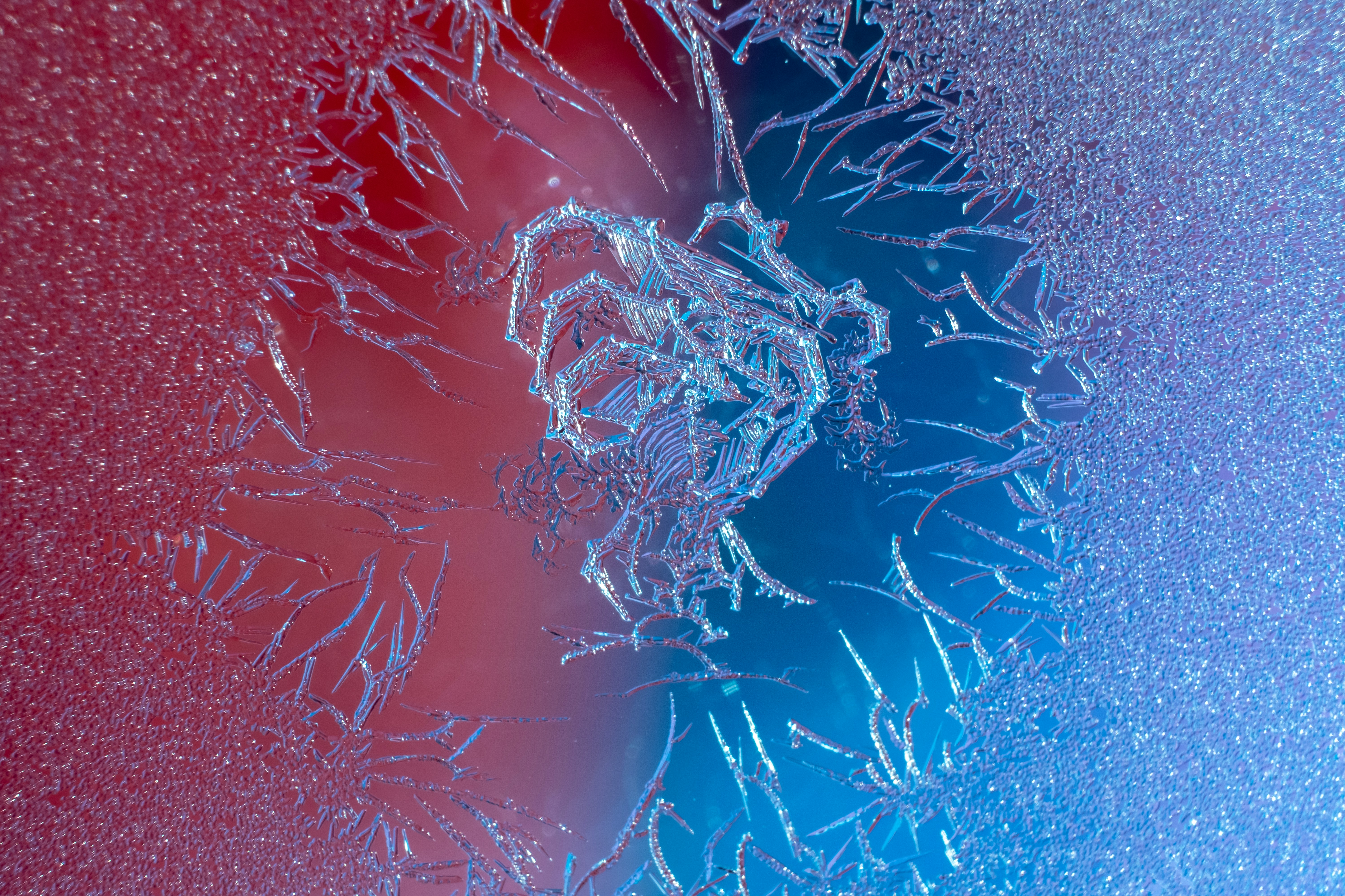 Egg Freezing
